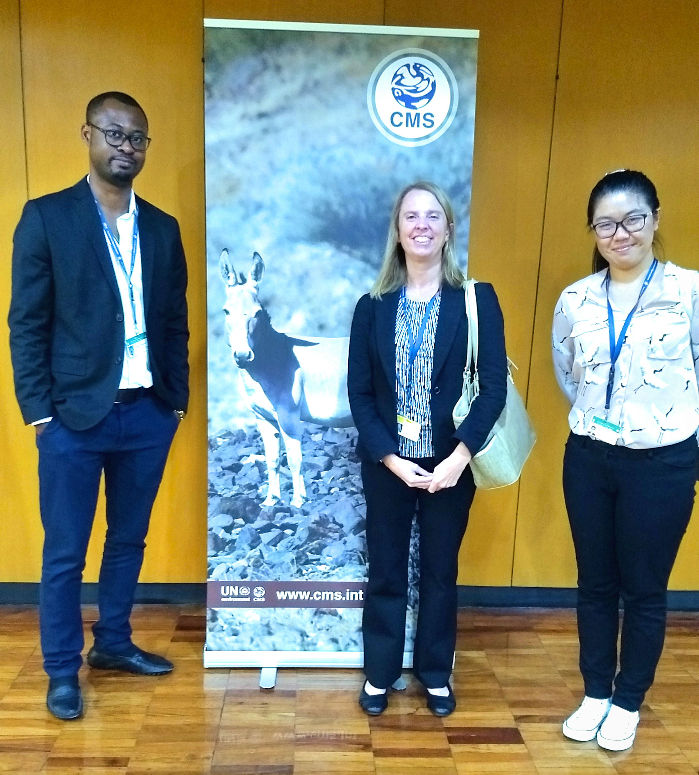 CMS COP12 Side Event