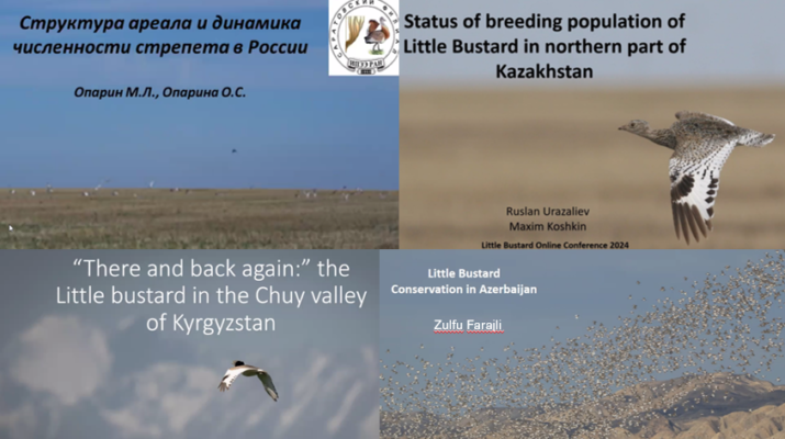 A mosaic of four title slides from presentations at the conference, containing images of Little Bustards
